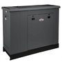 Briggs & Stratton G400